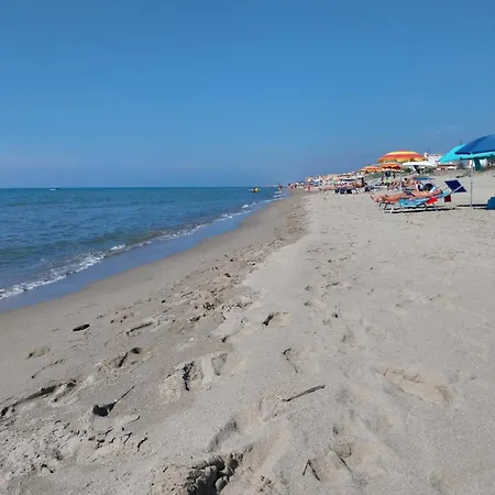 Sirene452 - - Apartment Torvaianica